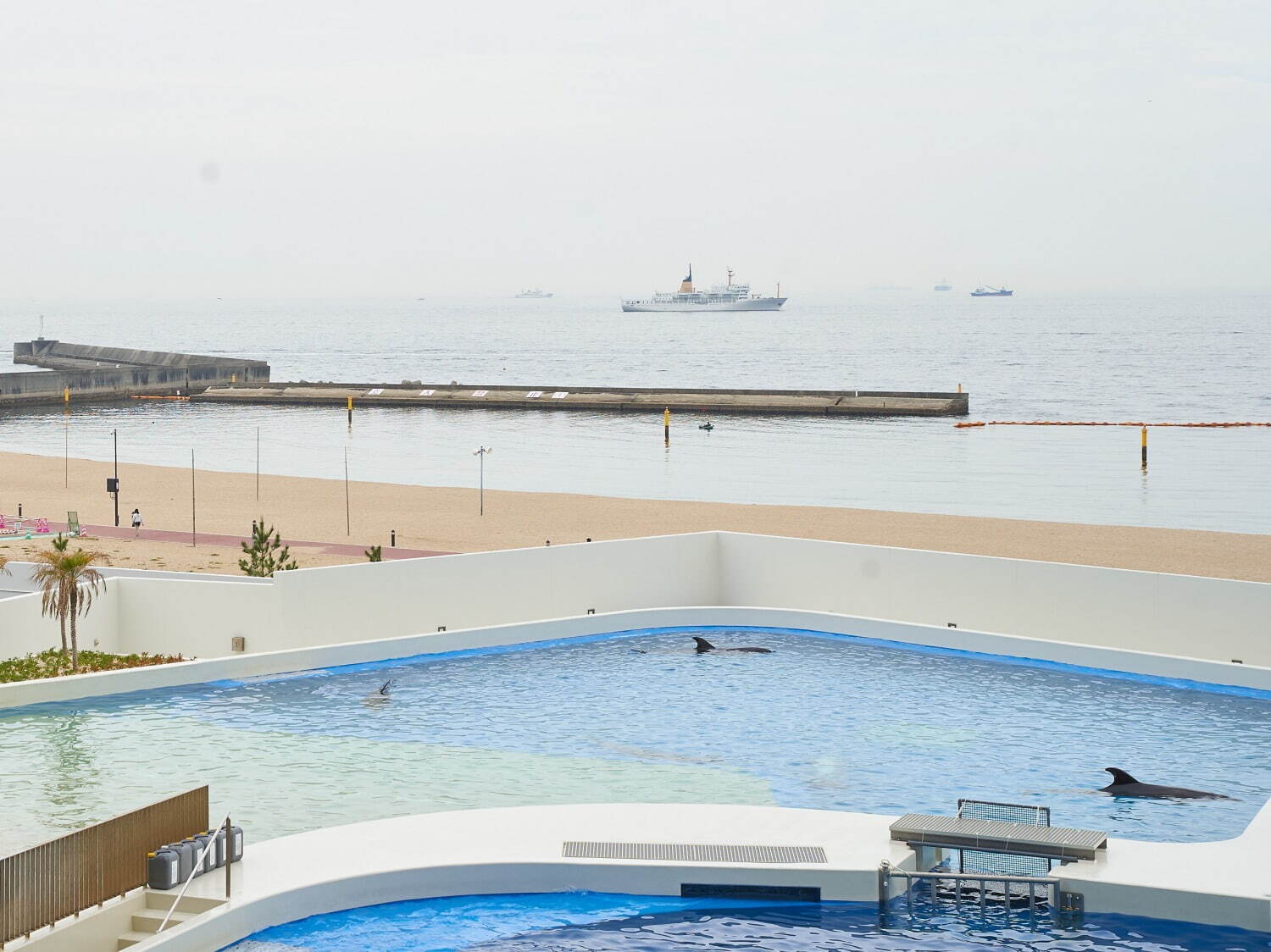 「神戸須磨シーワールド」須磨海浜水族園跡地に開業、西日本唯一のシャチ展示！パフォーマンスや学ぶゾーン｜写真82