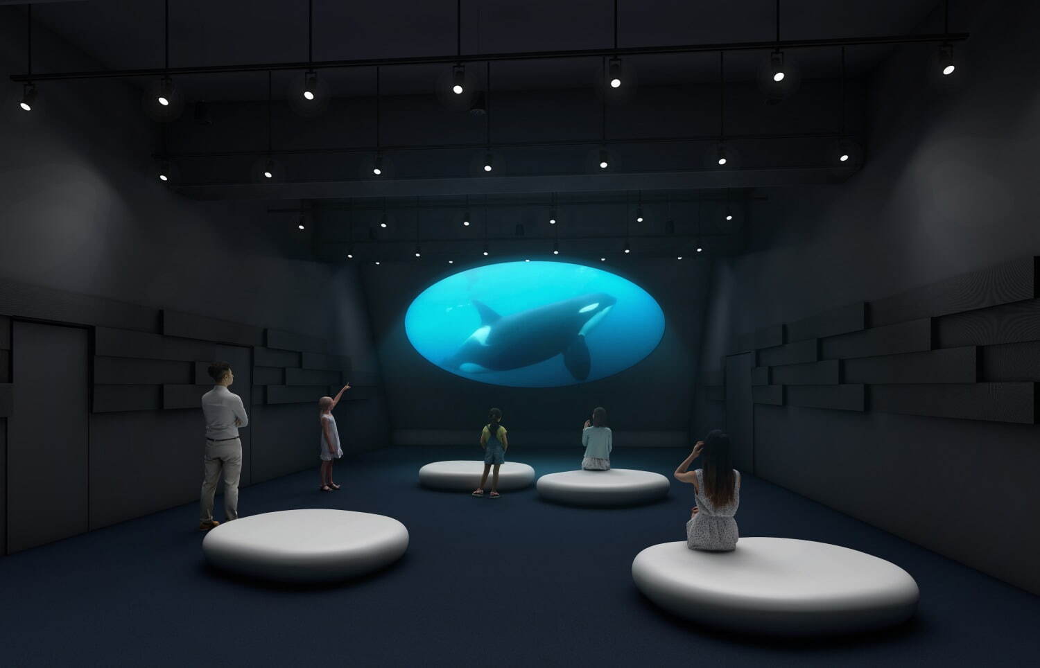 「神戸須磨シーワールド」須磨海浜水族園跡地に開業、西日本唯一のシャチ展示！パフォーマンスや学ぶゾーン｜写真153