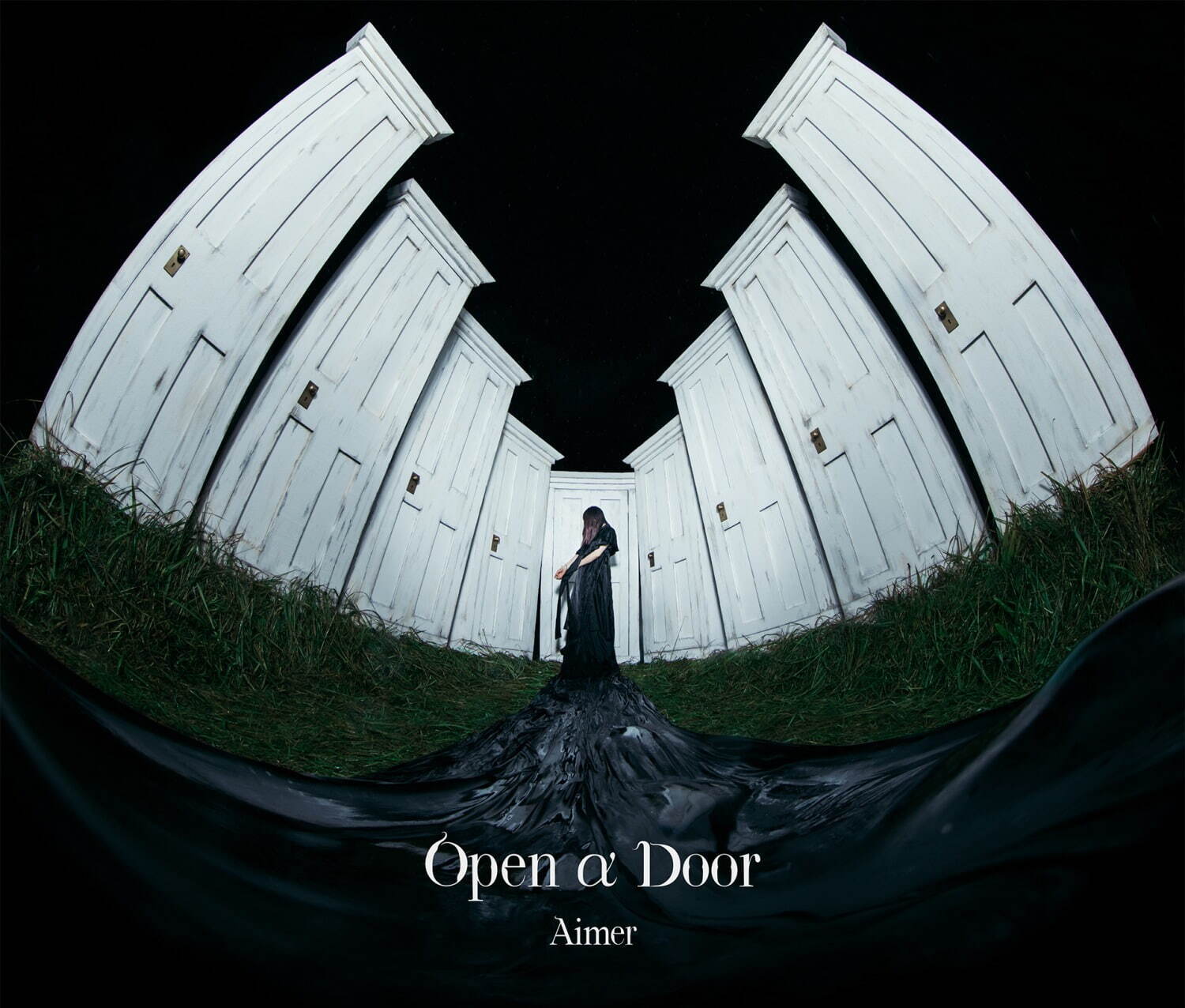 Open α Door｜写真17