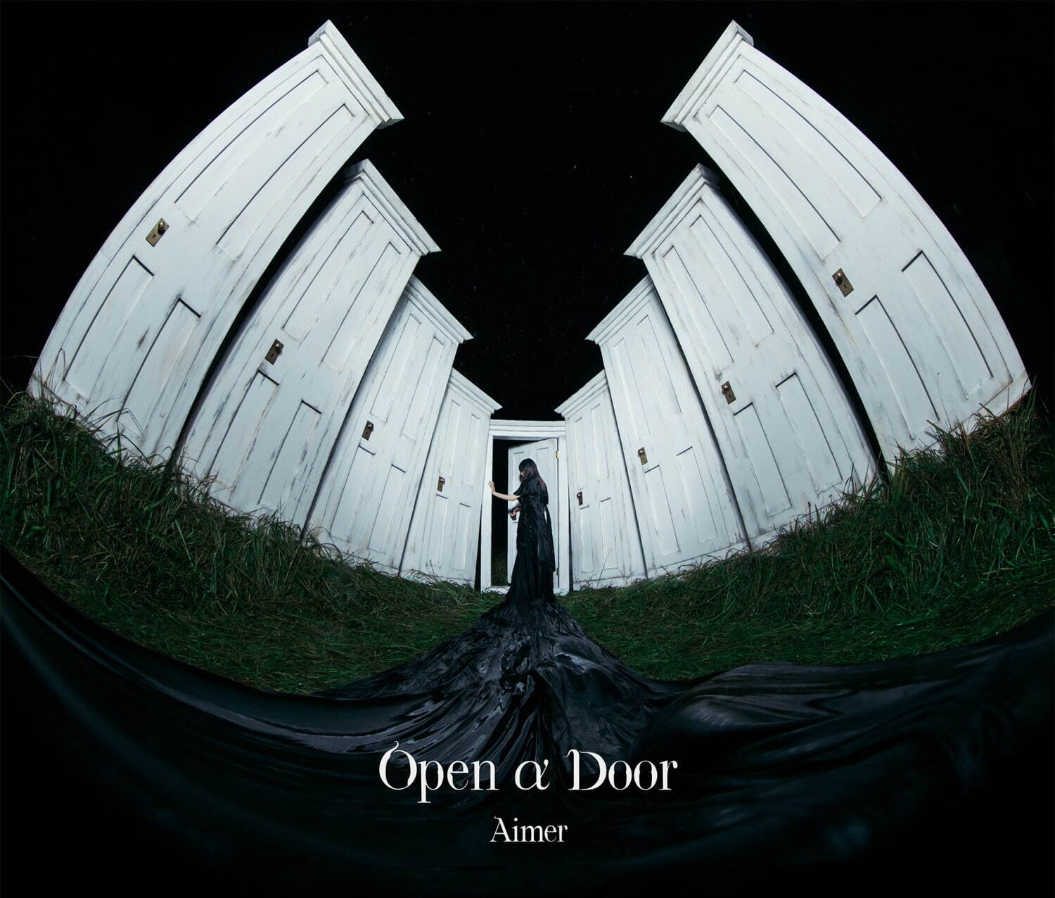 Open α Door｜写真18