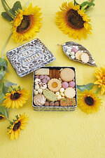 パティスリー ギンノモリ(PATEISSERIE GIN NO MORI) パティスリー ギンノモリ プティボワ｜写真3