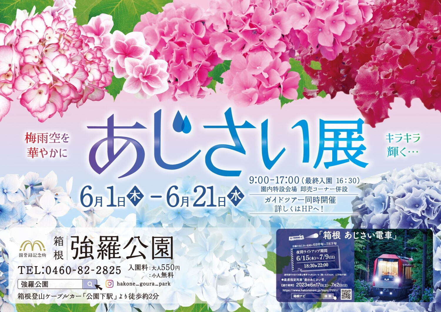 箱根強羅公園「あじさい展」約50種を展示＆販売、あじさいスイーツやバタフライピーティーも｜写真4