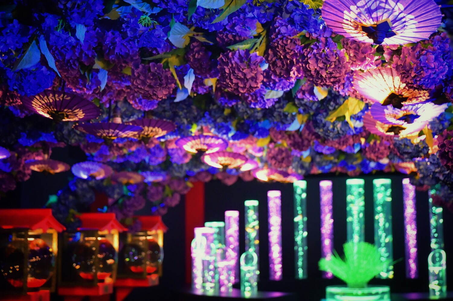 金魚アート「アートアクアリウム美術館 GINZA」梅雨イベント、“紫陽花×金魚”の幻想的な景色｜写真4