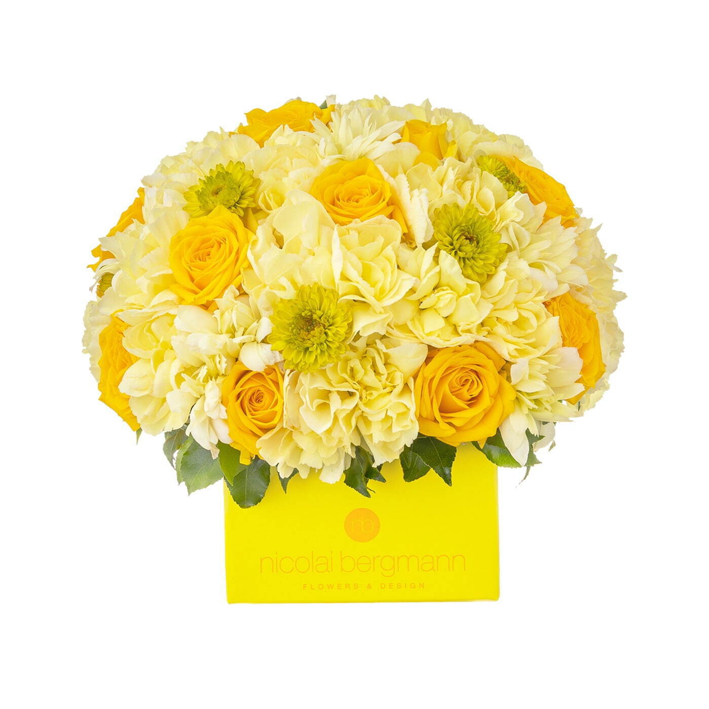 サマー限定フレッシュフラワーキューブアレンジメント
S(φ16.5×H16cm) 9,240円、M(φ20×H19cm) 13,860円