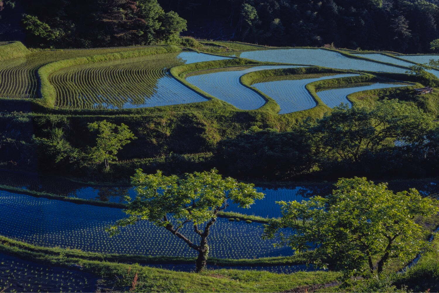 滋賀県立美術館