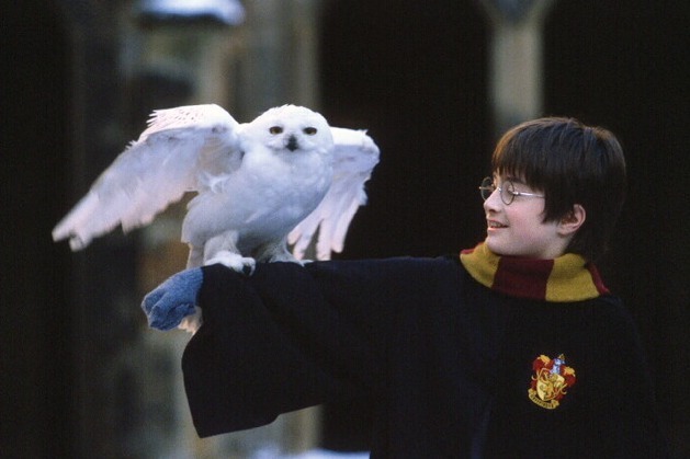 『ハリー・ポッターと賢者の石』