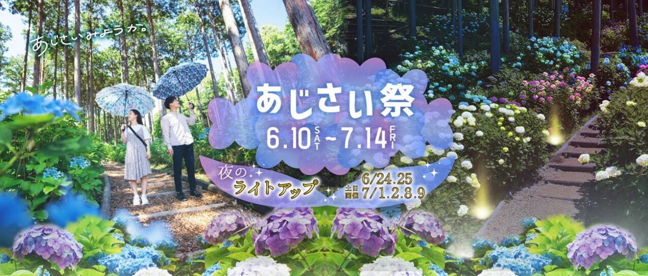 静岡・三島スカイウォーク「あじさい祭」205品種13,000株が開花、紫陽花モチーフのスイーツも｜写真1