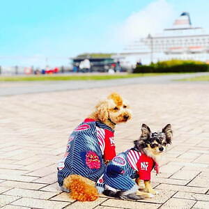 横浜みなとみらい臨海部で「ベイウォークマーケット 2023」クラフトビール祭りやドッグマーケット｜写真7