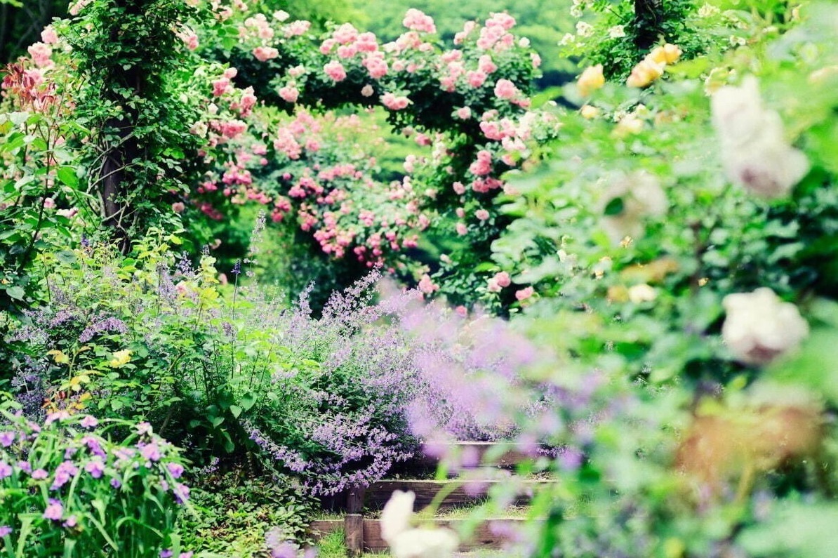 博物館｜【関西の夏イベント2023】大阪＆京都の花火大会・アートイベントなど、おすすめおでかけスポット