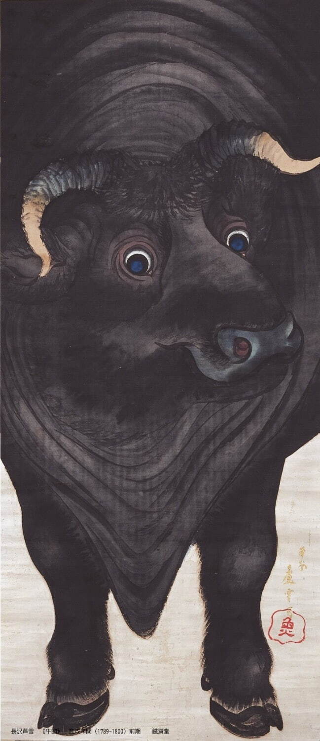 長沢芦雪 《牛図》 寛政年間(1789-1800年)前期 鐵齋堂
［11月7日(火)～12月3日(日)展示］