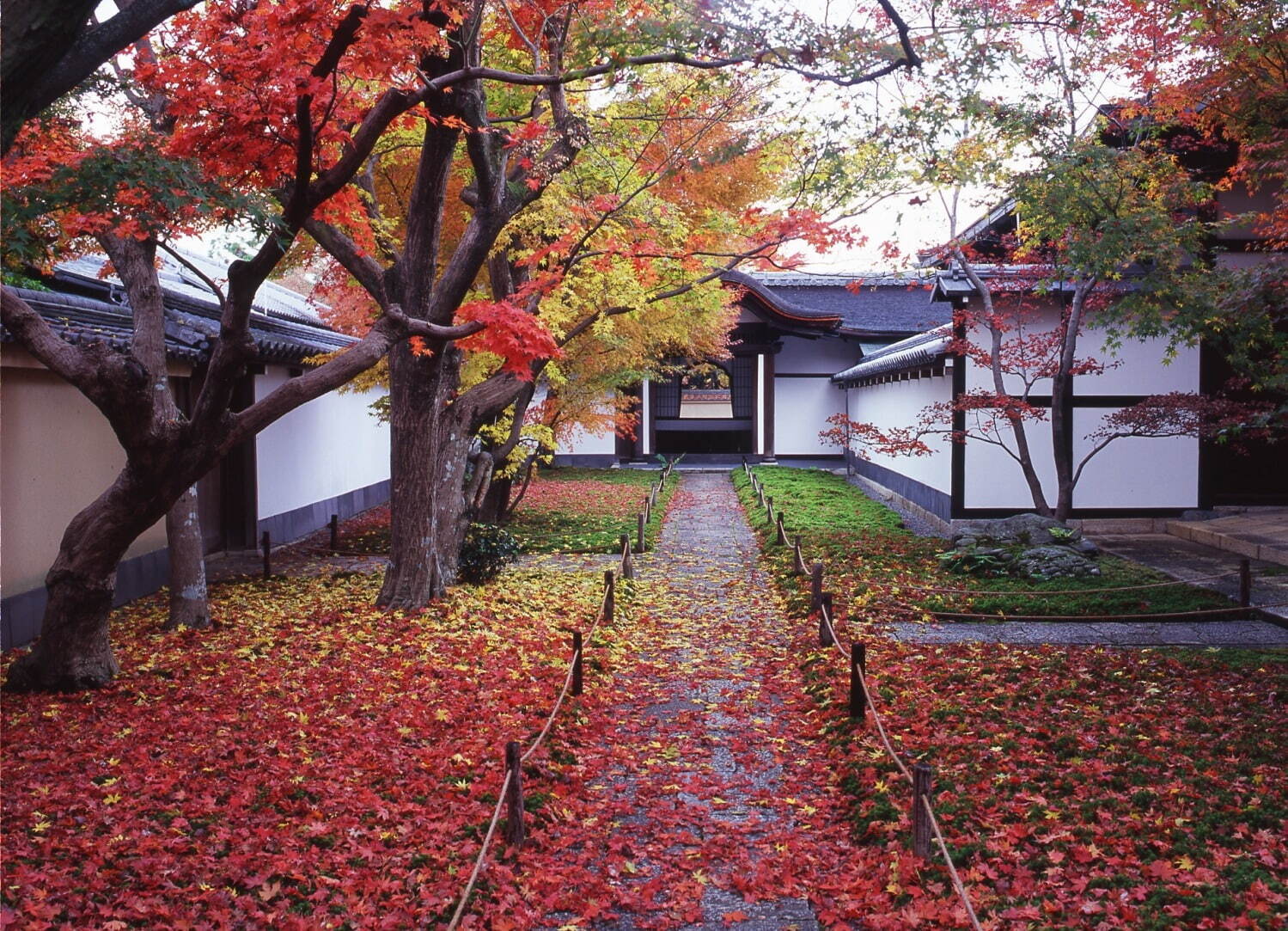 黄梅院 唐門