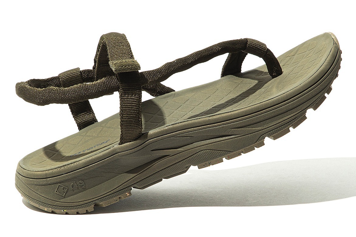 ルーツトゥブランチズ