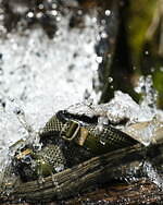 ノンネイティブのリグ別注“厚底”リカバリーサンダル、”レザー×ロープ”アッパー×3重構造ソール｜写真11