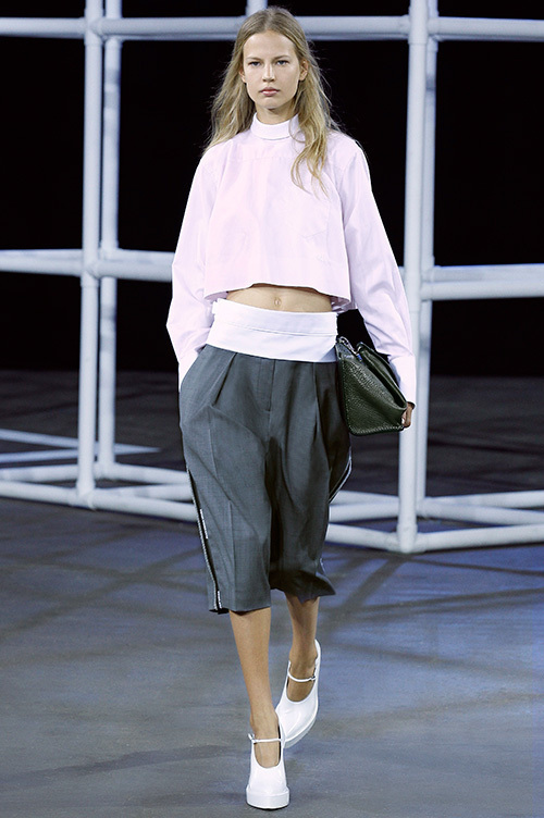 アレキサンダー ワン 2014年春夏<span>コレクション</span> - 写真6