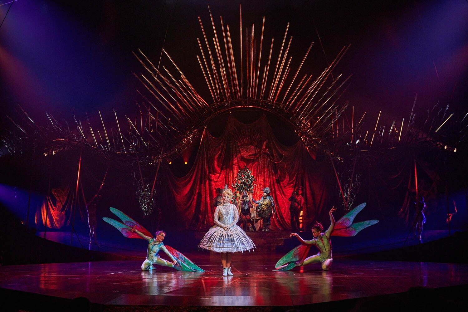 【美品•レア】シルク•ドゥ•ソレイユ 25年間のコスチュームブック 図版 美品•レア】シルク•ドゥ•ソレイユ 25年間のコスチュームブック