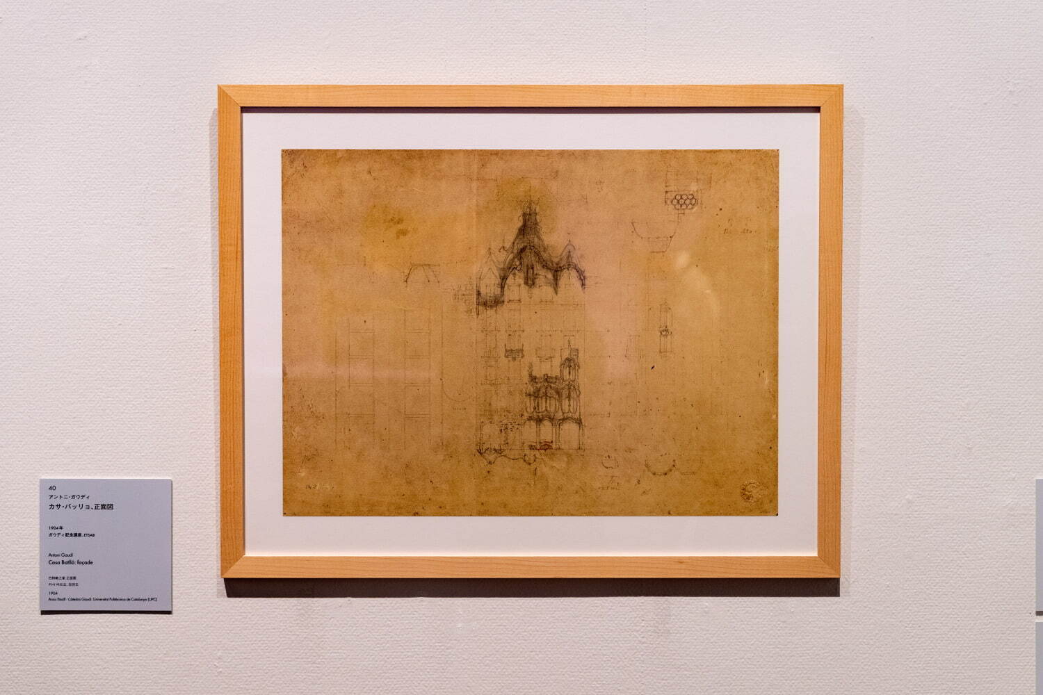 アントニ・ガウディ《カサ・バッリョ 正面図》
1904年 ガウディ記念講座、ESTAB