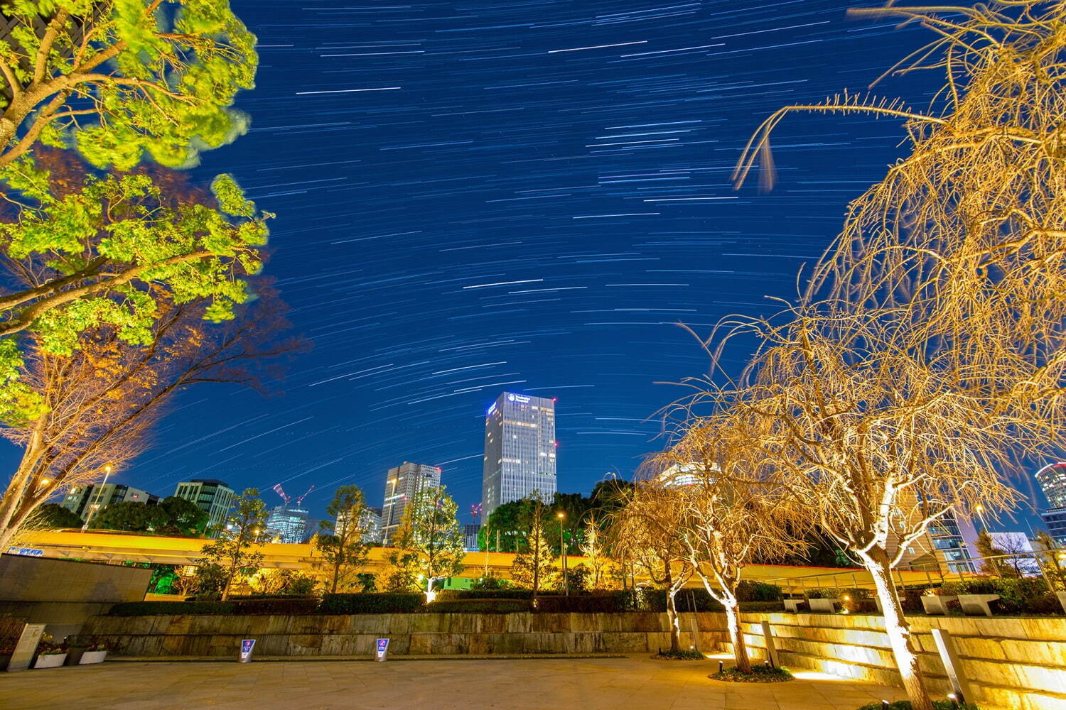 クリエイター｜東京ガーデンテラス紀尾井町“星テーマ”の夏イベント - 星空パフェ＆天の川カクテル、星空観望会も