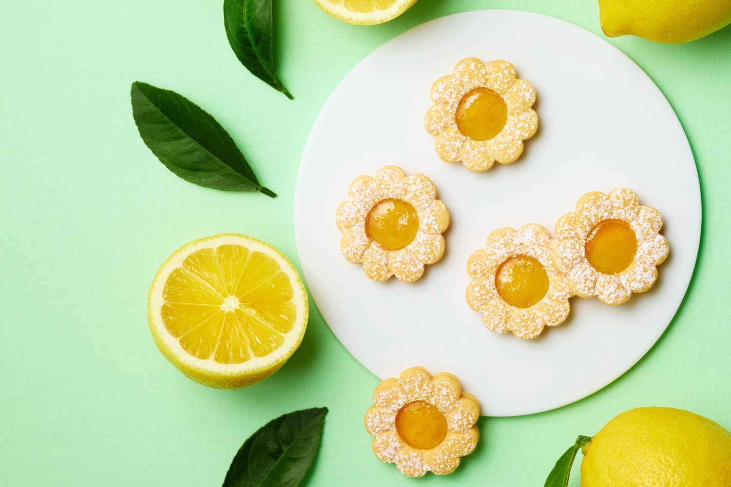 マドレーヌ｜京都北山 マールブランシュ本店のレモンスイーツ、果汁×果肉入りジャムの花型クッキー＆マドレーヌ