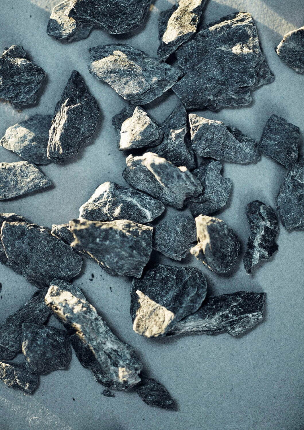 パドカレ(pas de calais) 2021-22年秋冬ウィメンズコレクション  - 写真1