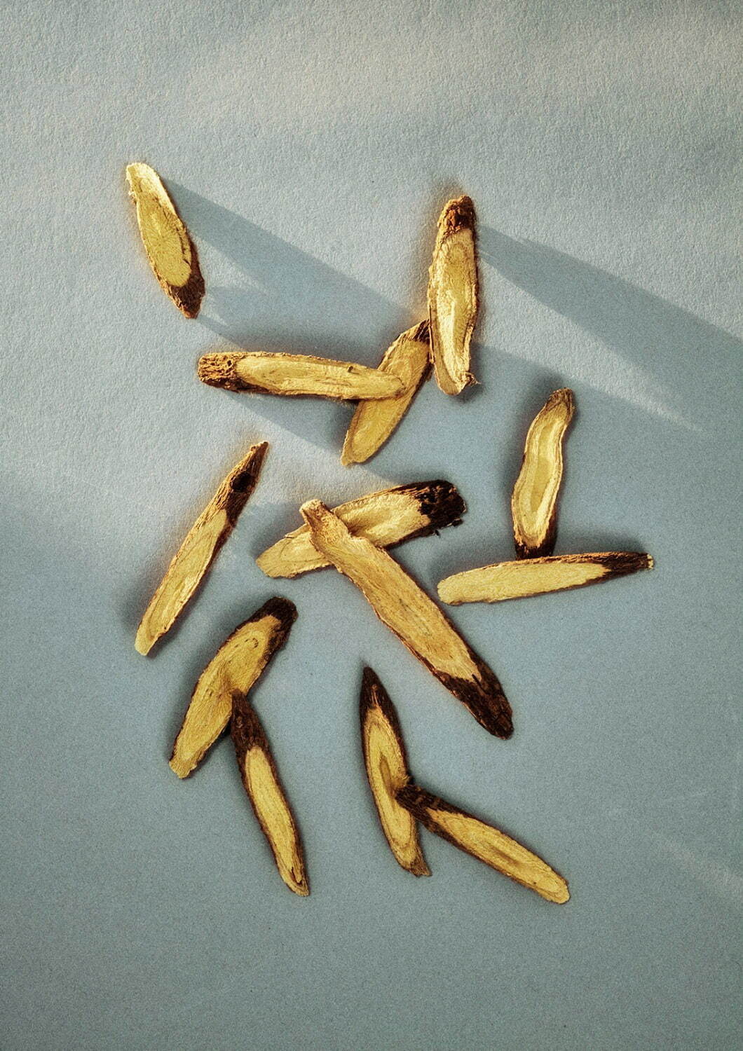 パドカレ(pas de calais) 2021-22年秋冬ウィメンズコレクション  - 写真19