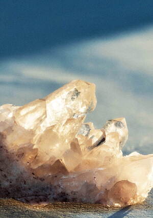 パドカレ(pas de calais) 2021-22年秋冬ウィメンズコレクション  - 写真11