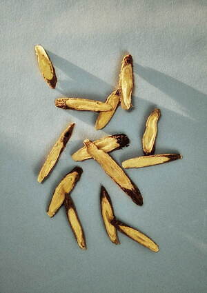 パドカレ(pas de calais) 2021-22年秋冬ウィメンズコレクション  - 写真19