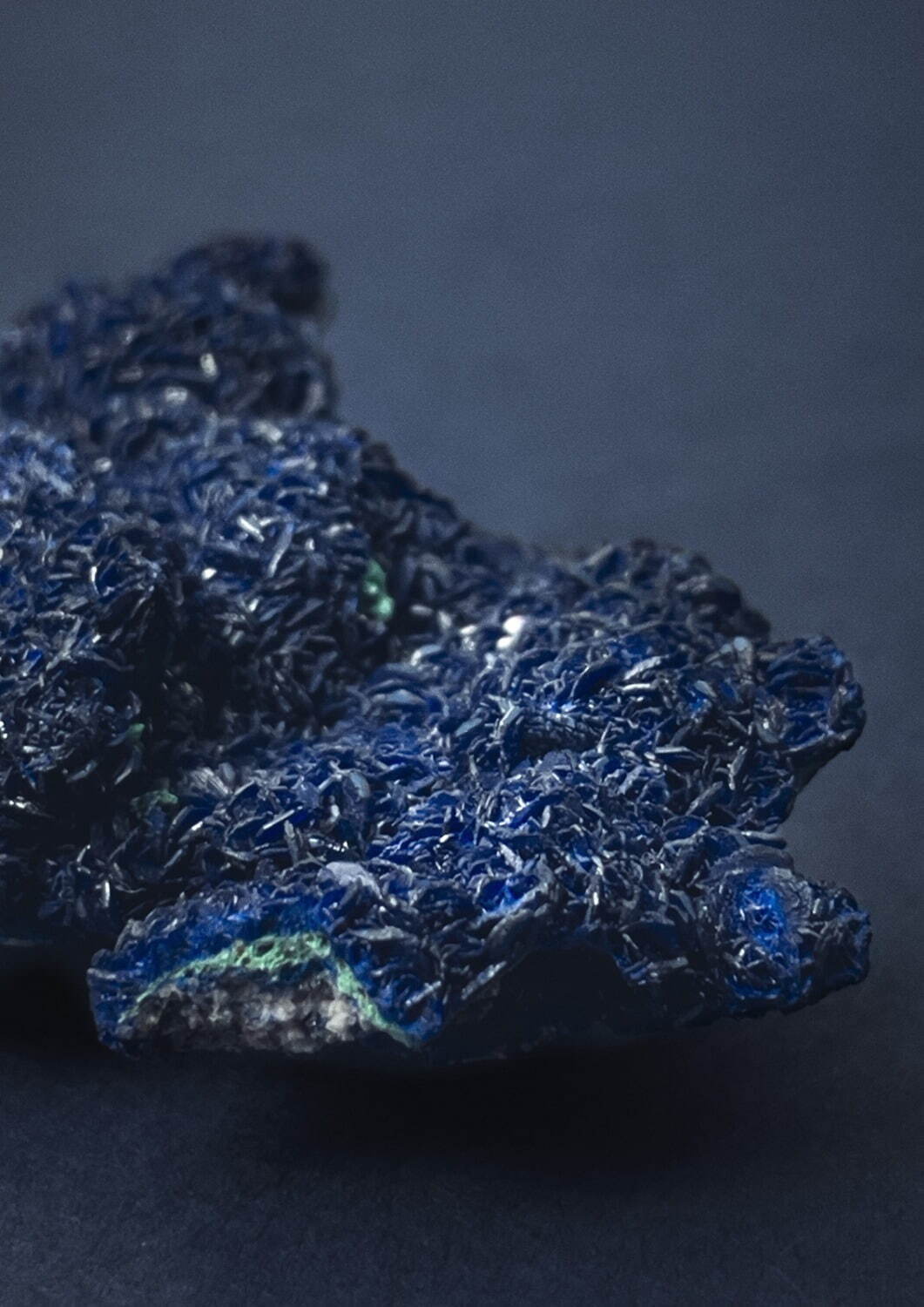 パドカレ(pas de calais) 2022-23年秋冬ウィメンズコレクション  - 写真2