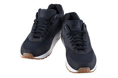 アー・ペー・セー「AIR MAXIM 1」