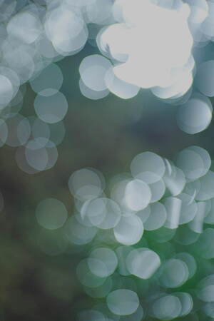 フルタ(furuta) 2023-24年秋冬ウィメンズコレクション  - 写真4