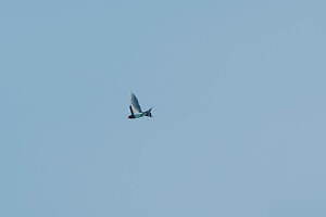 フルタ(furuta) 2023-24年秋冬ウィメンズコレクション  - 写真21