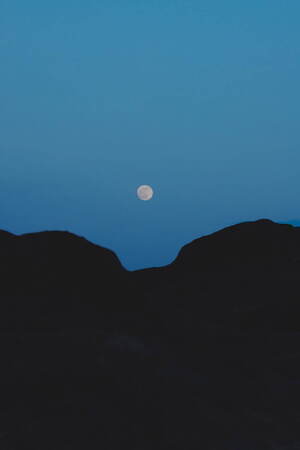 フルタ(furuta) 2023-24年秋冬ウィメンズコレクション  - 写真29