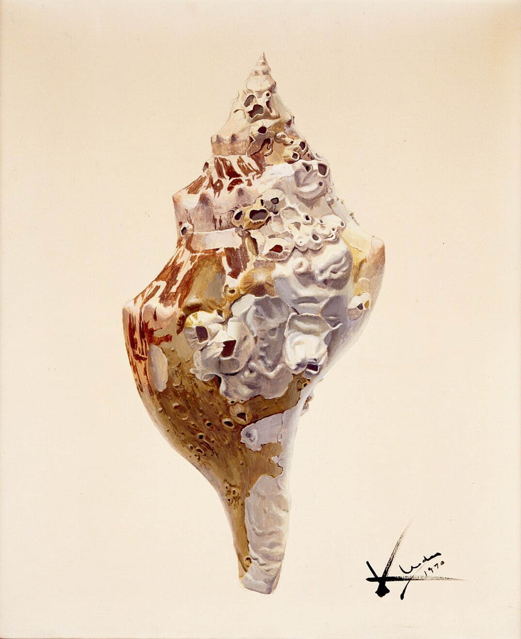 上田薫《貝殻》1970年 個人蔵
