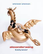 アレキサンダー ワン(alexanderwang) ボディウェア｜写真44