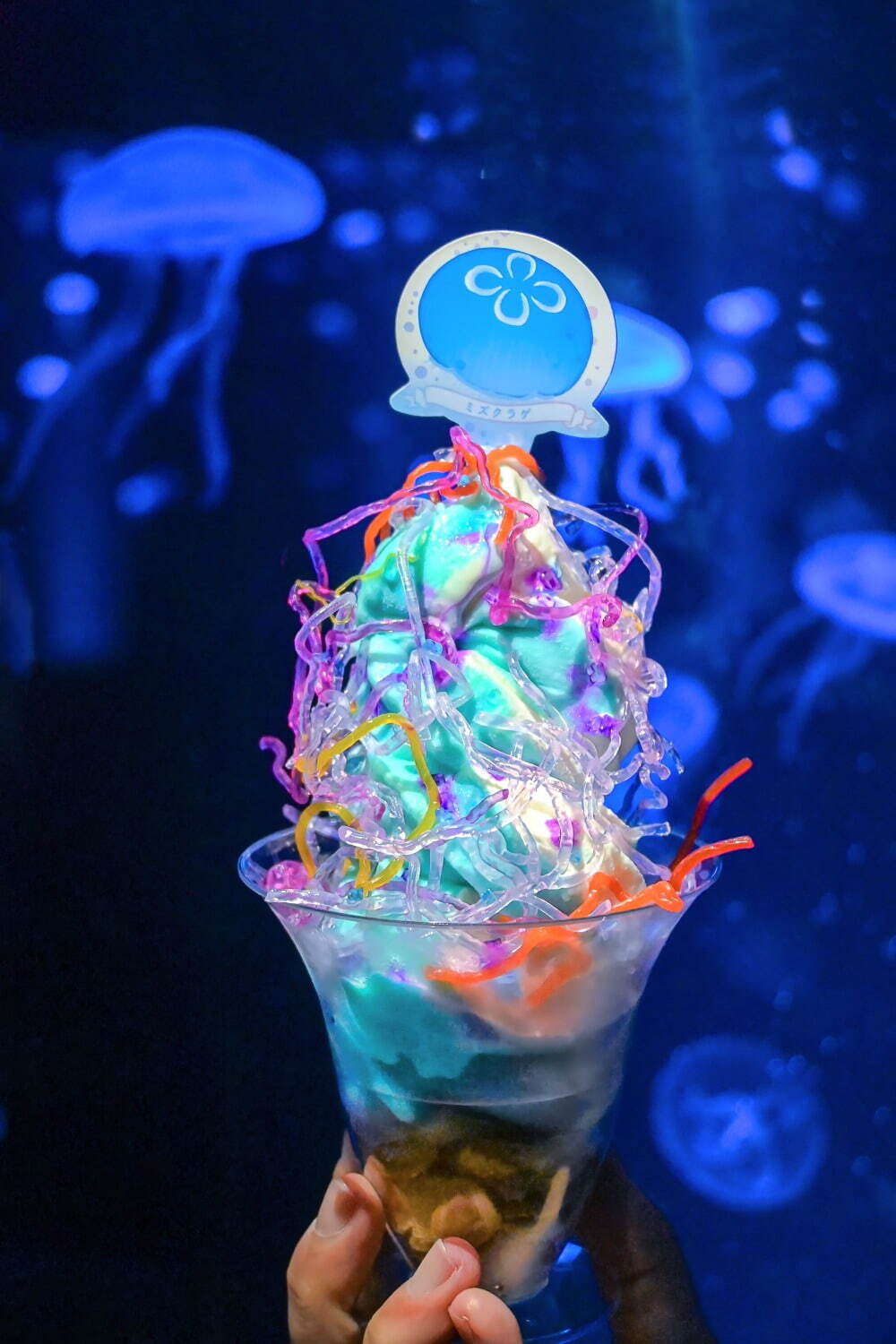 クラゲ風鈴で夏の涼を感じる『くらげと風鈴』／京都水族館