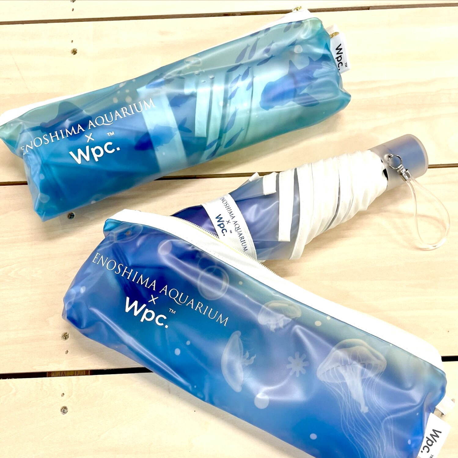 新江ノ島水族館×Wpc.のコラボ雨傘、“クラゲ”や“イワシ”を描いた長傘＆折りたたみ傘｜写真6