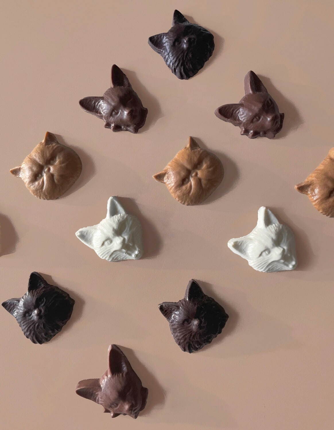 フィリーチョコレートの"ネコ型”ボンボンショコラ、チャイ味のエキゾチックショートヘアなど全4種｜写真3