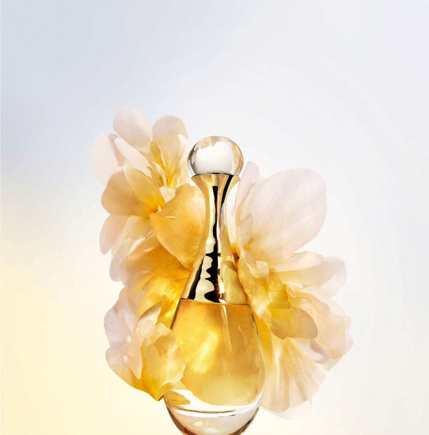 ディオール23年秋フレグランス「ジャドール ロー」神秘的な“理想の花