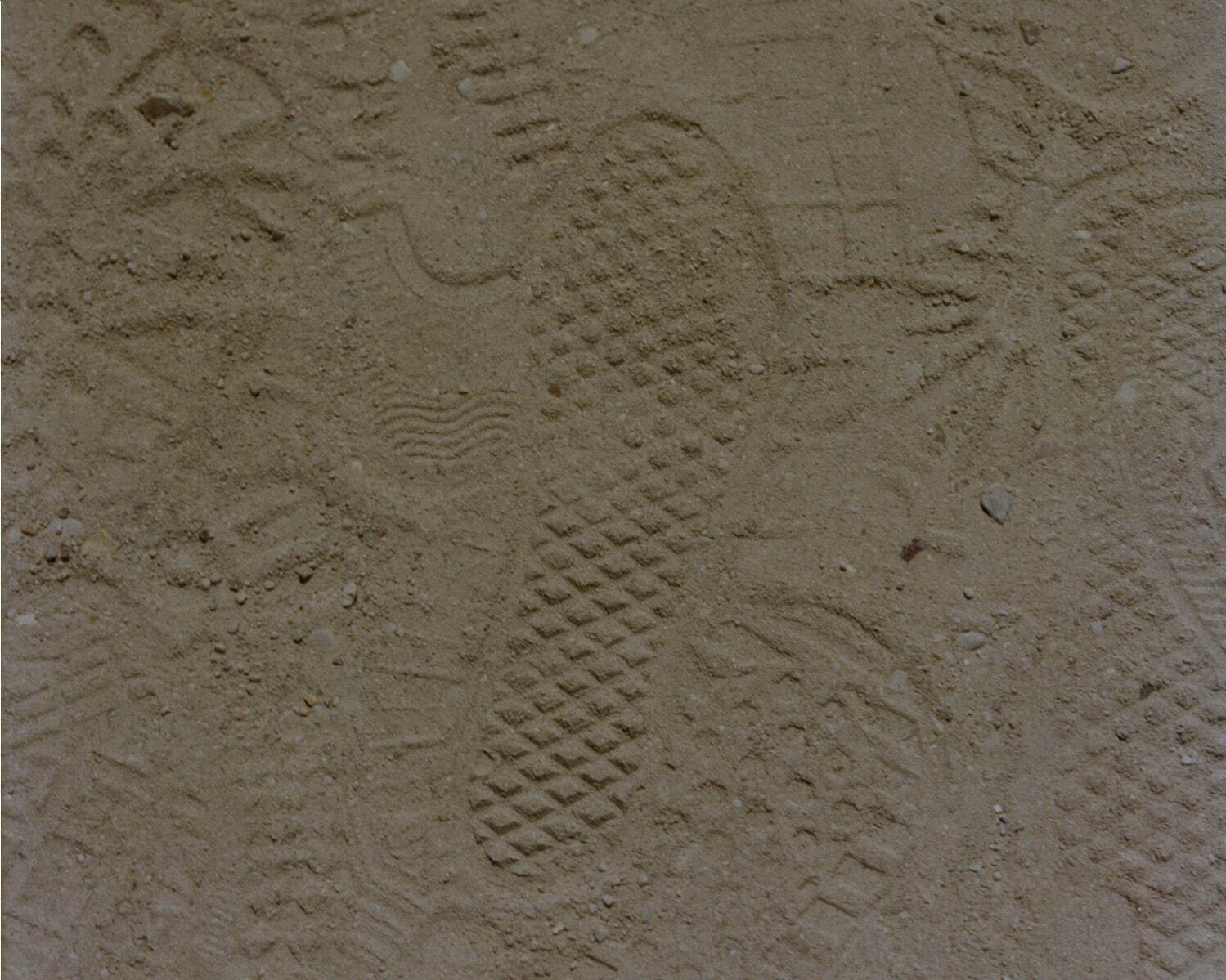 ヴァンズ(Vans) OTW by Vans｜写真5