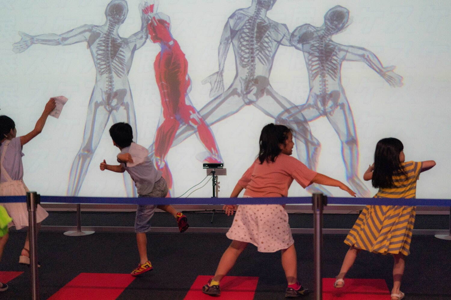 「スケスケ展 in TOKYO」東京ドームシティで、自分の体が“スケる”体験や“スケスケ生物”の展示｜写真12