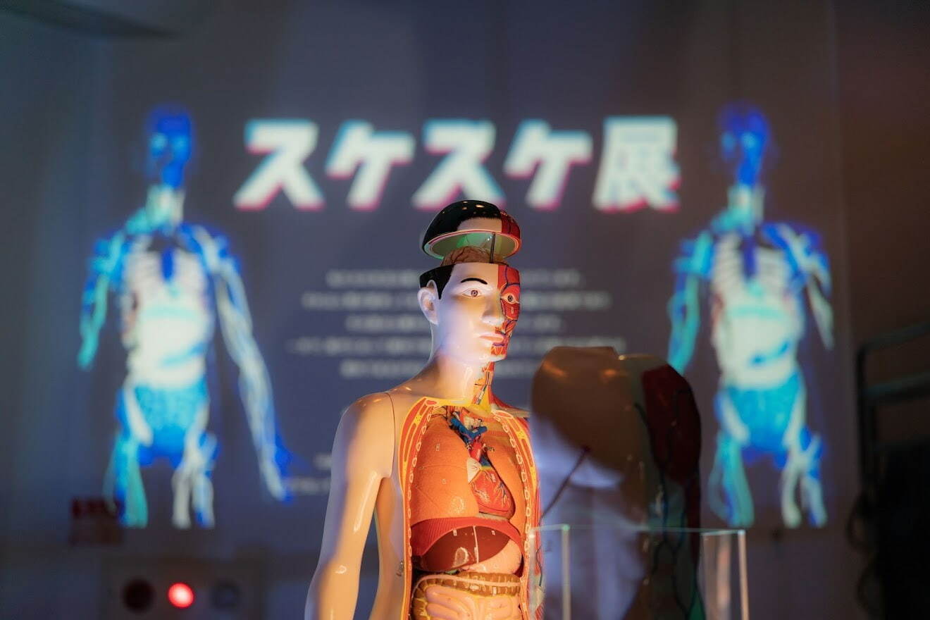 「スケスケ展 in TOKYO」東京ドームシティで、自分の体が“スケる”体験や“スケスケ生物”の展示｜写真2