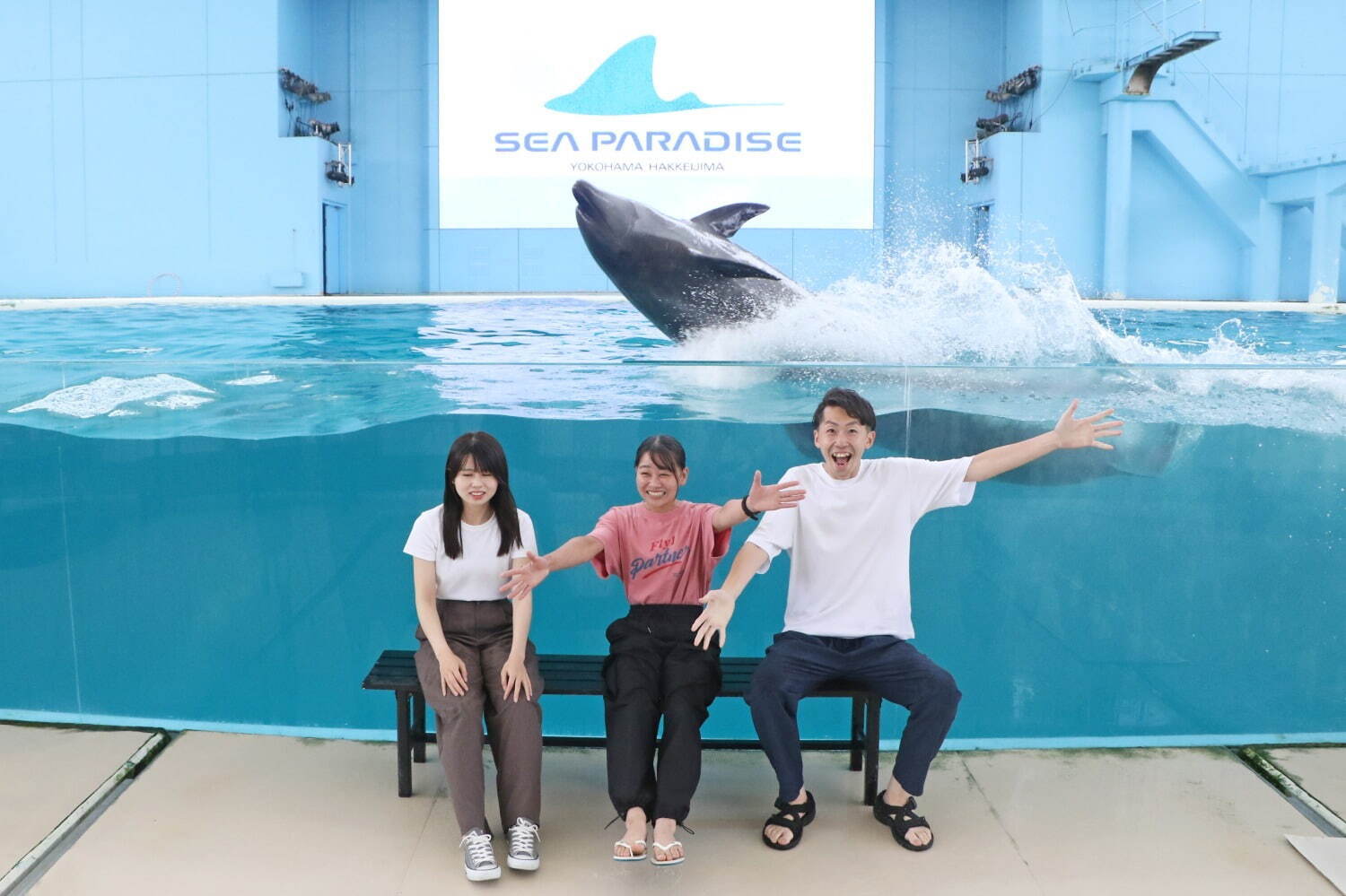 横浜・八景島シーパラダイス「サマースプラッシュフェス」ずぶ濡れイルカスプラッシュや夏だけの動物ショー｜写真17
