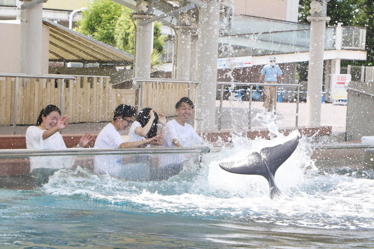 横浜・八景島シーパラダイス「サマースプラッシュフェス」ずぶ濡れイルカスプラッシュや夏だけの動物ショー｜写真2