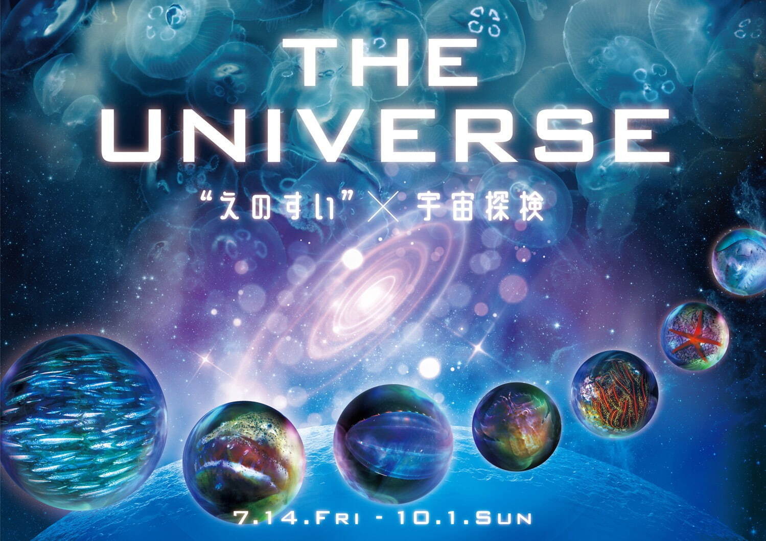 新江ノ島水族館の「宇宙探検」イベント、“惑星”を模したミズクラゲ＆大水槽でのマイワシショー｜写真8