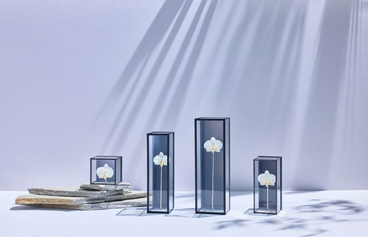 「iTTO(いっと)」