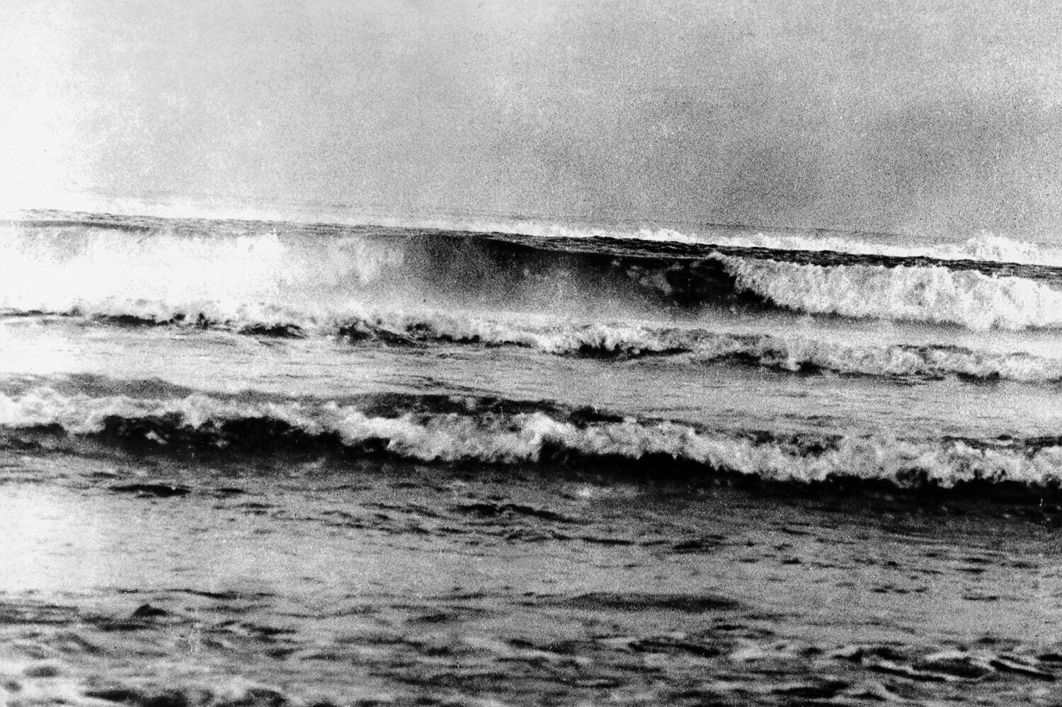 写真家・中平卓馬と森山大道の二人展が神奈川県立近代美術館 葉山で、デビュー作〜近作が一堂に