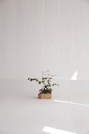 ワイエムウォルツ(Y.M.Walts) 2014-15年秋冬ウィメンズコレクション  - 写真7