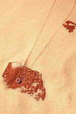 ヴイエー ヴァンドーム青山の新作ジュエリー“夕焼け”ルビー×ダイヤモンド煌めくネックレスなど｜写真5