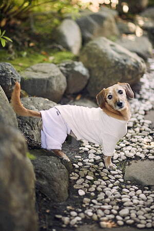 シー(SEA) 2023-24年秋冬ウィメンズコレクション  - 写真24