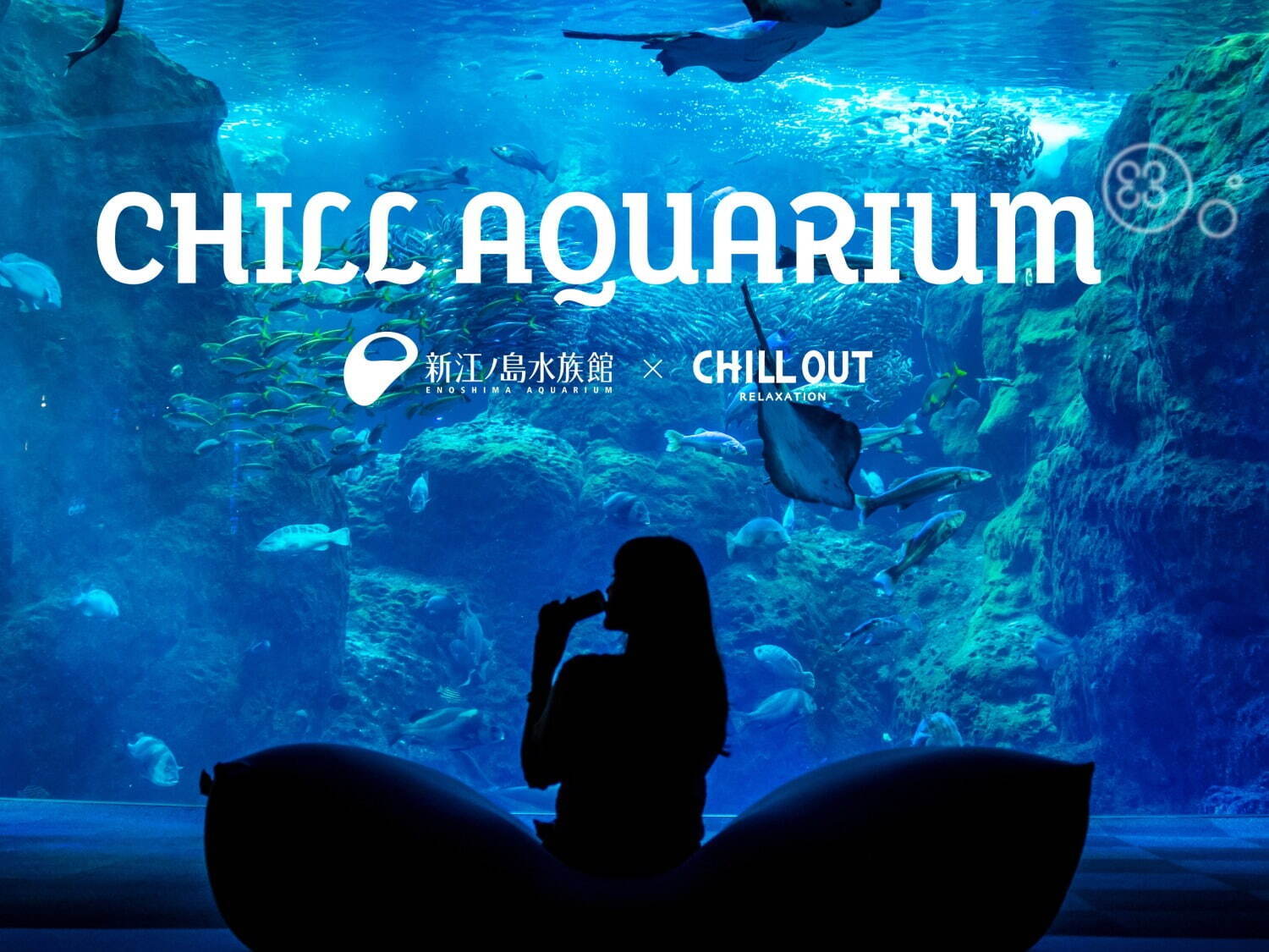 夜の新江ノ島水族館で「チルアクアリウム」“ヨギボー”に寝転んで魚観察、ドリンク「チルアウト」とコラボ｜写真11