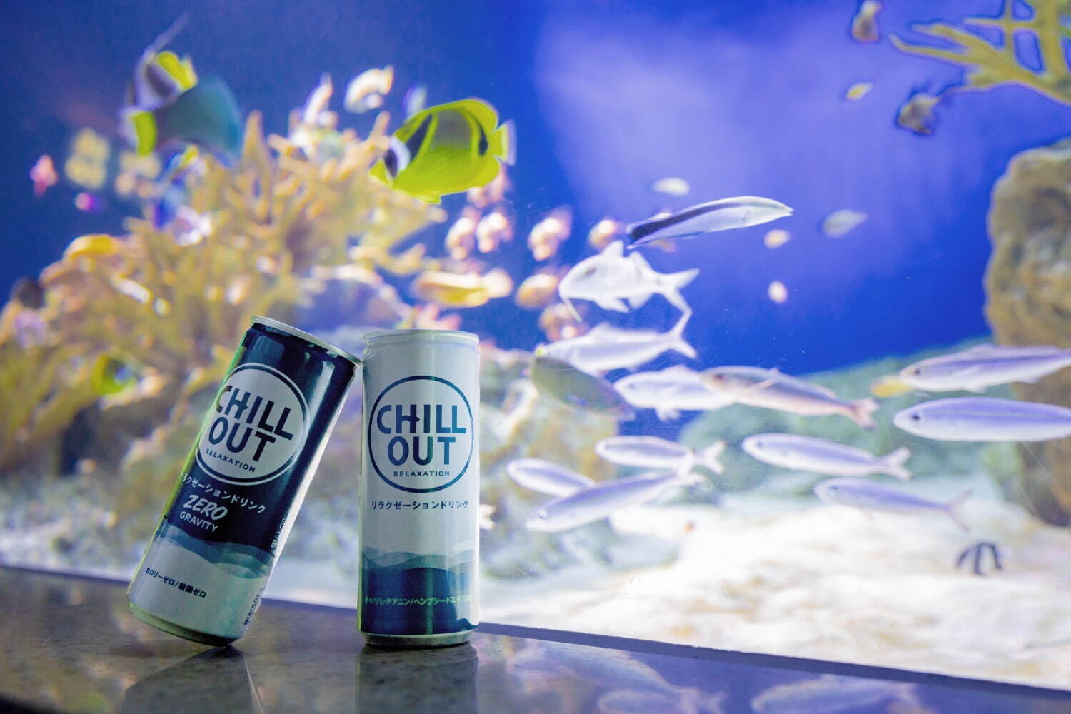 夜の新江ノ島水族館で「チルアクアリウム」“ヨギボー”に寝転んで魚観察、ドリンク「チルアウト」とコラボ｜写真9